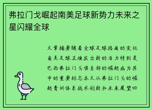 弗拉门戈崛起南美足球新势力未来之星闪耀全球