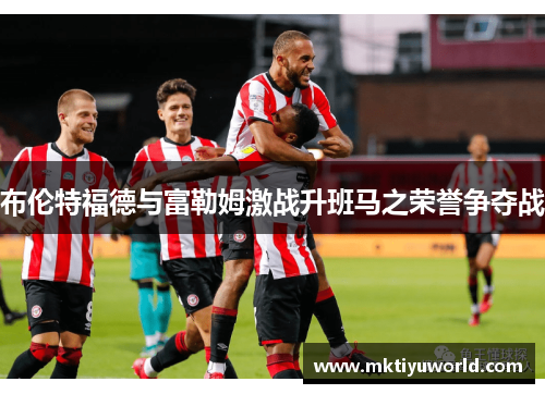 布伦特福德与富勒姆激战升班马之荣誉争夺战